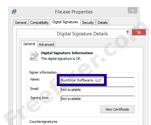 Screenshot of the Runtime Software, LLC certificate